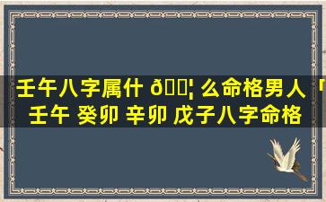 壬午八字属什 🐦 么命格男人「壬午 癸卯 辛卯 戊子八字命格」